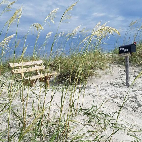 Meet your Posher, Megan - Picture 1 of 1